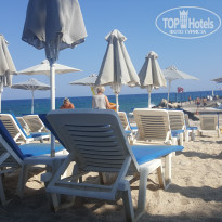 фото из отзыва ID 1426888