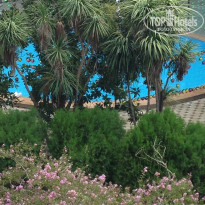 фото из отзыва ID 1427013