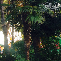 фото из отзыва ID 1427013