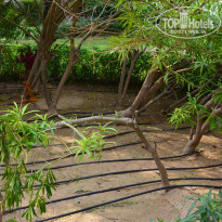 фото из отзыва ID 1425480