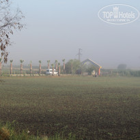 фото из отзыва ID 1427219