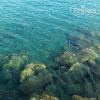 фото из отзыва ID 1427286