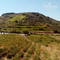 фото из отзыва ID 1427286