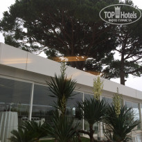 фото из отзыва ID 1427418