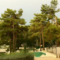 фото из отзыва ID 1426952