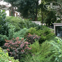 фото из отзыва ID 1426952