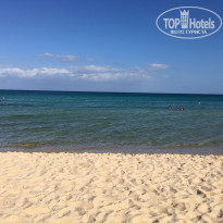 фото из отзыва ID 1427474