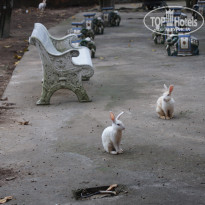 фото из отзыва ID 1427612