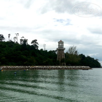 фото из отзыва ID 1427612