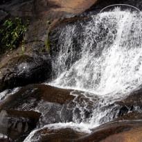 фото из отзыва ID 1427612