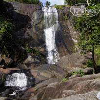 фото из отзыва ID 1427612