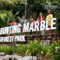 фото из отзыва ID 1427612