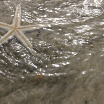 фото из отзыва ID 1427612