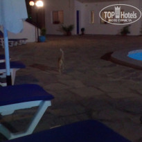 фото из отзыва ID 1427699