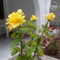 фото из отзыва ID 1427699