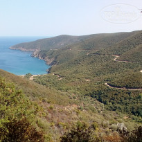 фото из отзыва ID 1427699