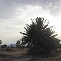 фото из отзыва ID 1425222