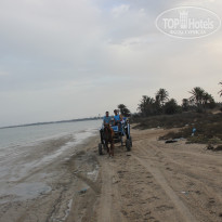 фото из отзыва ID 1425222