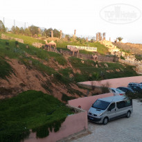 фото из отзыва ID 1427783