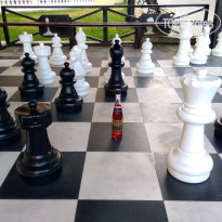 фото из отзыва ID 1427896