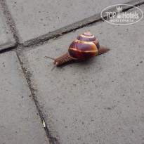 фото из отзыва ID 1427896