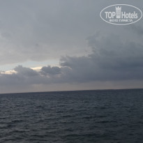 фото из отзыва ID 1427918