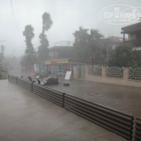 фото из отзыва ID 1427918