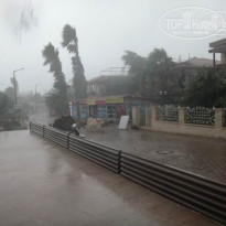 фото из отзыва ID 1427918