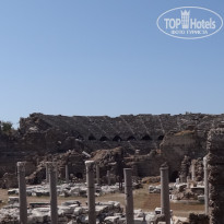 фото из отзыва ID 1427918