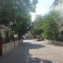 фото из отзыва ID 1427918