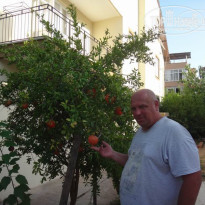 фото из отзыва ID 1427918