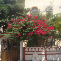 фото из отзыва ID 1427918