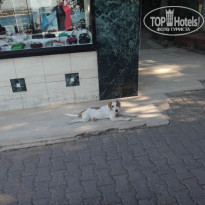 фото из отзыва ID 1427918