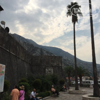 фото из отзыва ID 1427995