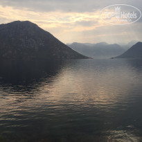 фото из отзыва ID 1427995