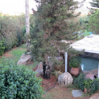 фото из отзыва ID 1428046