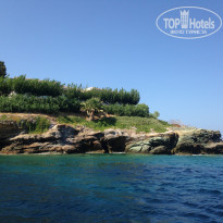 фото из отзыва ID 1428047