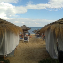 фото из отзыва ID 1428087