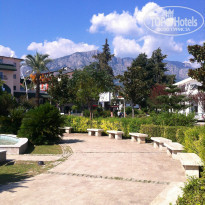 фото из отзыва ID 1427531