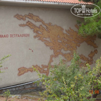 фото из отзыва ID 1428067