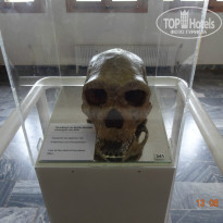 фото из отзыва ID 1428067