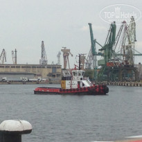 фото из отзыва ID 1427266