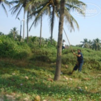 фото из отзыва ID 1428304