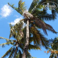 фото из отзыва ID 1428320