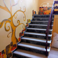 фото из отзыва ID 1428367