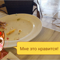 фото из отзыва ID 1428453