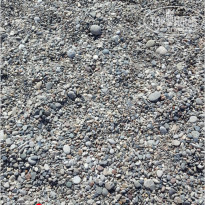 фото из отзыва ID 1428453