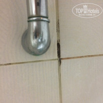 фото из отзыва ID 1428485