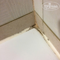 фото из отзыва ID 1428485