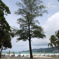 фото из отзыва ID 1428488